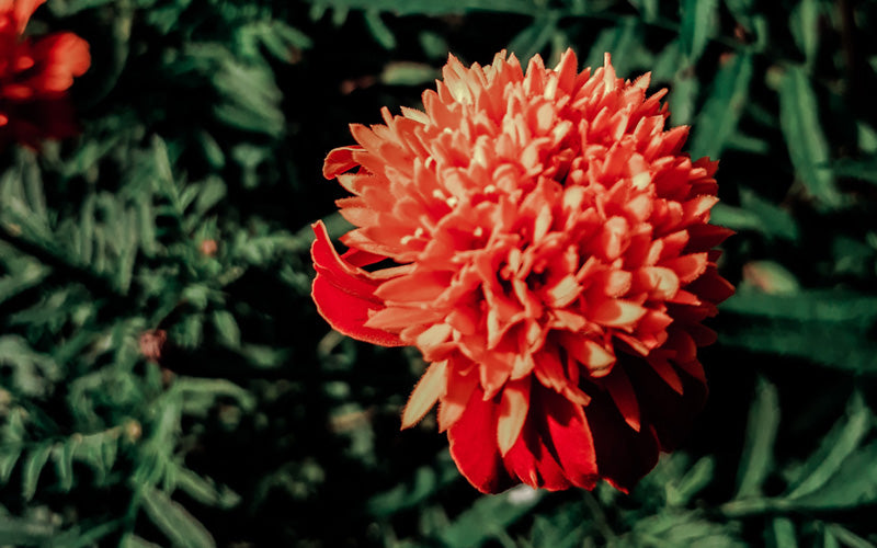 Sustainability here at O&N