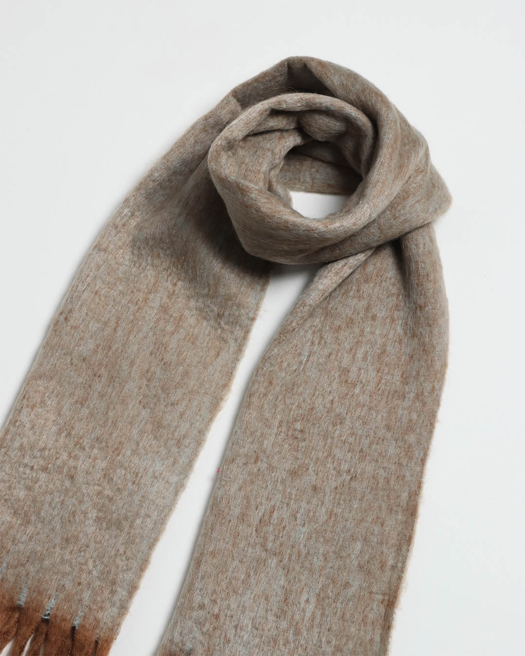 Jonty Scarf - Camel