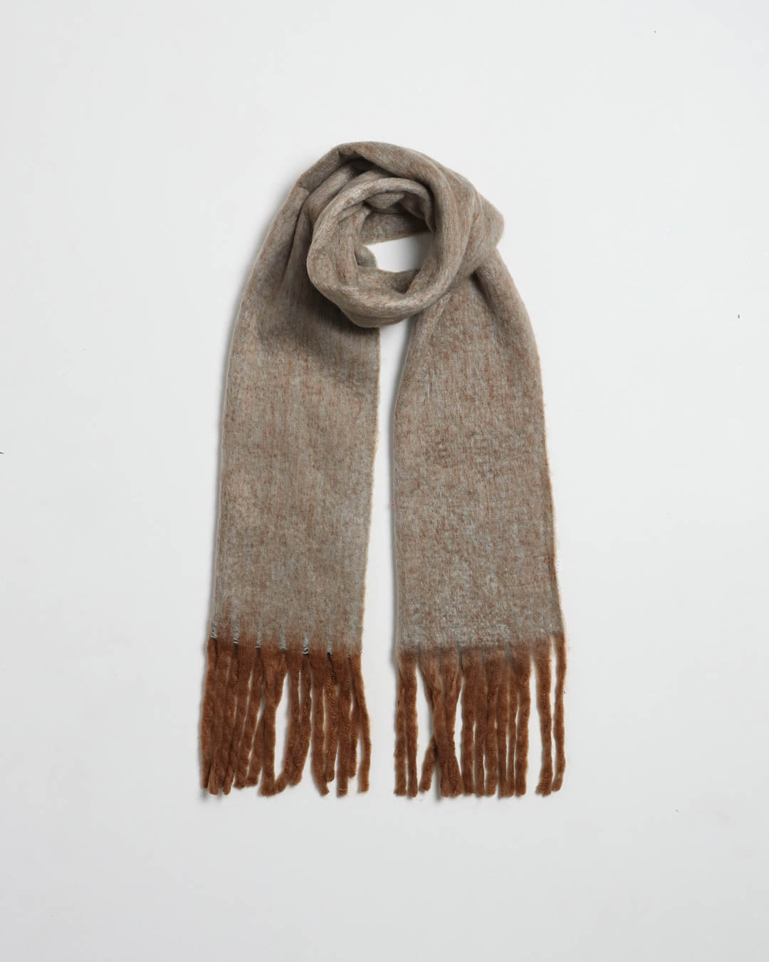Jonty Scarf - Camel
